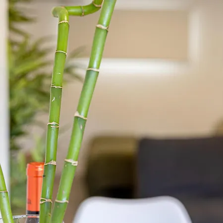 Bambú Vegueta Alquiler Por Habitación Apartamento