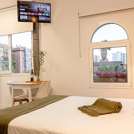 Bambú Vegueta Alquiler Por Habitación Apartamento Las Palmas de Gran Canaria