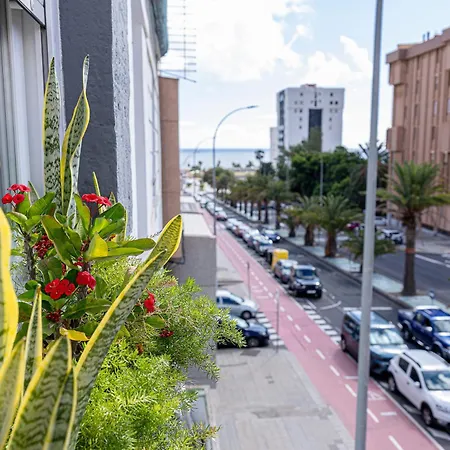Apartamento Bambu Vegueta Alquiler Por