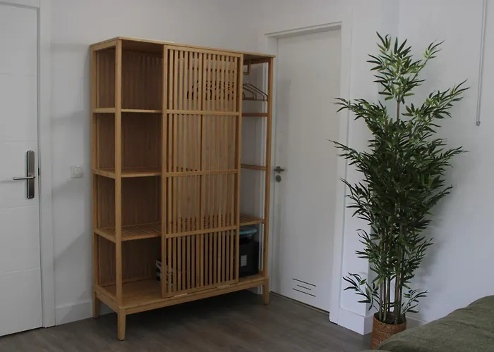 Bambu Vegueta Alquiler Por