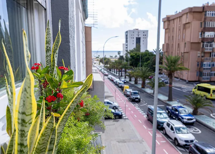 Apartament Bambu Vegueta Alquiler Por