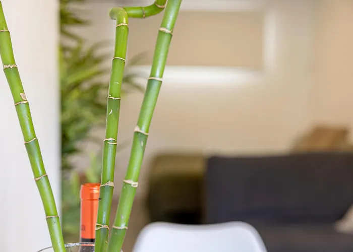 Bambu Vegueta Alquiler Por Apartament