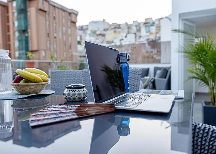 Bambu Vegueta Alquiler Por