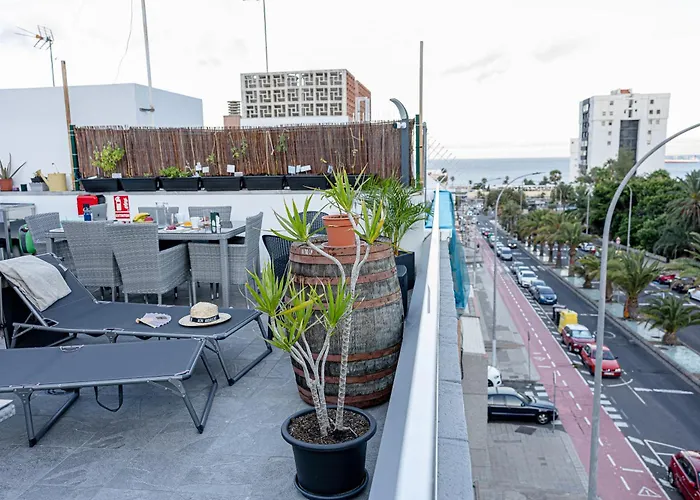 Bambu Vegueta Alquiler Por *